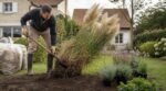 Jardin : cette graminée à plumeaux désormais interdite, pourquoi l’arracher vite peut vous éviter une grosse amende