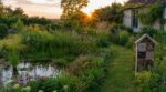 Jardin : cette méthode pour réensauvager seulement 20 % du terrain change tout et divise l’entretien par deux