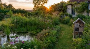 Jardin : cette méthode pour réensauvager seulement 20 % du terrain change tout et divise l’entretien par deux