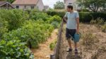 Mon voisin n’arrose jamais son potager : cette méthode cachée lui donne plus que moi qui arrose chaque jour, et vous ?
