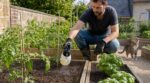 Ne laissez plus les chats transformer votre jardin en litière : ce condiment banal les fait fuir en une nuit