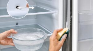 Odeur de frigo : arrêtez les sprays, ce mélange maison et cette zone oubliée règlent enfin le problème