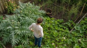 Petit potager : ces 8 légumes stars de mai qui vous volent des m² pour presque aucune récolte
