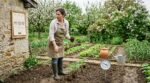 Saints de glace : Météo-France prévient les jardiniers, voici les 3 vrais signaux à suivre avant de planter