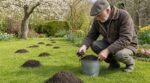 Taupes au jardin : cette erreur moderne que les anciens évitaient et qui appauvrit discrètement votre sol