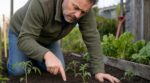 Tomates qui ne poussent pas : ce test du doigt dans la terre révèle un problème caché qui peut vous coûter un mois