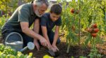 Tomates : si vous les arrosez tous les soirs, ce test des 5 cm révèle une erreur que personne ne voit