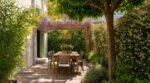 Votre terrasse devient un four à midi ? Ces 5 plantes la refroidissent vraiment, même en pleine canicule