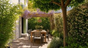 Votre terrasse devient un four à midi ? Ces 5 plantes la refroidissent vraiment, même en pleine canicule