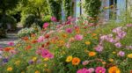 Vous perdez votre temps avec les rosiers : ces 6 fleurs plantées en mai explosent tout l’été sans presque aucun soin