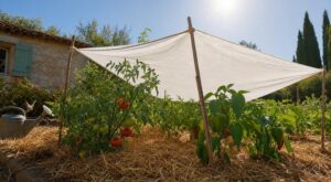 40 °C, arrosage interdit : cette vieille astuce de potager sauve vos légumes sans tuyau en pleine canicule