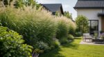 Adieu les thuyas : cette haie ultra résistante, légère et quasi sans entretien envahit les jardins en 2026