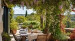 Canicule : ces 3 plantes grimpantes à privilégier pour une pergola fraîche, parfumée et presque sans arrosage