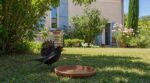 Canicule : si vous voyez un oiseau bec ouvert dans votre jardin, surtout ne faites pas ce geste qui le condamne