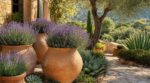 Ce contenant en terre cuite qui sauve vos plantes de la canicule et rend le jardin chic et méditerranéen tout l’été