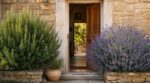 Ce duo de plantes de grand-mère près de la porte tenait nos aïeux à l’abri : voici ce qu’il bloque chez vous
