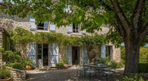 Ce grand arbre que les anciens plantaient devant la maison fait chuter la chaleur et votre facture de clim cet été