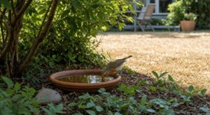 Ce petit aménagement discret dans un jardin sec peut sauver le rouge-gorge en été et créer un vrai coin de fraîcheur