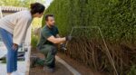 Cette erreur de taille que font tous les jardiniers laisse la haie nue à la base… et parfois, il est déjà trop tard