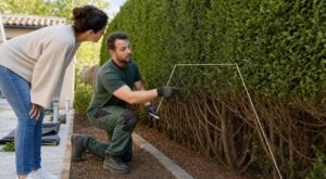 Cette erreur de taille que font tous les jardiniers laisse la haie nue à la base… et parfois, il est déjà trop tard