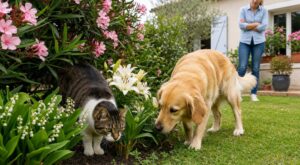 Chiens, chats : ces plantes très courantes du jardin peuvent les tuer en silence, sans que vous ne le voyiez venir