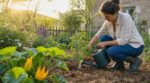 En mai, votre jardin grille ? Ce geste avec le sol permet d&rsquo;arroser beaucoup moins même en pleine chaleur