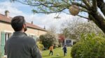 Frelon asiatique : cette routine au jardin m’a fait économiser 40 € de pièges et évite un nid dangereux près de chez vous