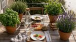 Guêpes autour de la table : ces 4 plantes en pot suffisent à les faire fuir pendant tout le repas cet été