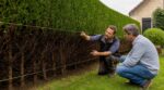 Haies de jardin : ce paysagiste m’a montré l’erreur de taille qui dégarnit le bas et les condamne pour de bon