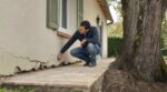 Jardin : cet arbre planté trop près de la maison peut vous coûter très cher, jusqu&rsquo;à 20 000 €