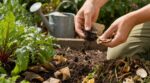 Jardin et canicule : cette astuce avec les sachets du matin peut sauver vos plantes si vous évitez cette erreur