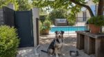 Jardin et chien : cette erreur de sécurité transforme votre terrain en piège mortel (et vous la faites sûrement)