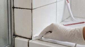 Joints de douche noircis : ce mélange à étaler dessus efface des années de crasse en 30 min, sans frotter