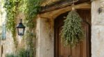 Les anciens suspendaient cette herbe au-dessus de la porte : ignorer ce geste pourrait vous coûter cher cet été