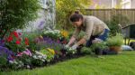 Marre d&rsquo;y passer vos week-ends ? Cette astuce express change votre pelouse en massif fleuri en 5 minutes