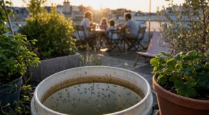 Moustiques tigres : cette erreur avec un simple seau d&rsquo;eau de pluie peut ruiner votre terrasse en 5 jours