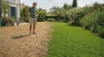 Pelouse grillée après la canicule : ces jardiniers la remplacent par cette plante qui reste verte sans arrosage