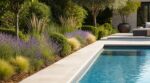 Piscine : si vous avez ces plantes autour du bassin, ce paysagiste conseille de les arracher sans attendre