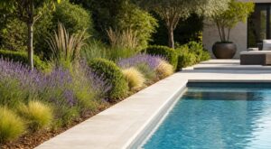 Piscine : si vous avez ces plantes autour du bassin, ce paysagiste conseille de les arracher sans attendre