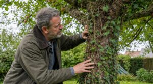 Plante grimpante dans un arbre : ce signe à ne jamais ignorer si vous tenez à votre jardin