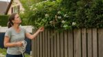 Plantes du voisin qui débordent : ce geste avec une simple ficelle peut en réalité vous mettre hors la loi