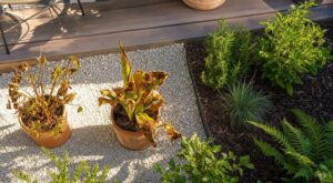 Si vos plantes grillent à 40 °C malgré l'arrosage, cette bordure claire que tout le monde pose est la coupable