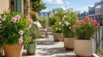 Terrasse en plein soleil : ce geste caché sous vos pots empêche vos plantes de griller en pleine canicule