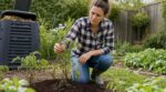 Tomates : si vous mettez encore ce reste de petit-déjeuner à leurs pieds, vous bloquez leur croissance sans le savoir