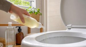 WC entartrés : voici le gel 100 % naturel à 3 ingrédients qui m&rsquo;a fait oublier la Javel et les heures de grattage