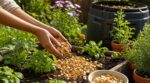 Au jardin, ces coques d&rsquo;apéro que tout le monde jette sont ce que les pros gardent pour sauver vos plantes