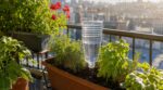 Avant de partir en vacances, ce geste avec une simple bouteille sauve vos jardinières sans les noyer