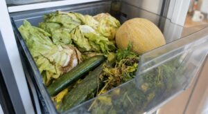 Bac à légumes : cette habitude avec ce fruit d&rsquo;été très parfumé ruine vos salades et vous fait jeter des euros en 48h