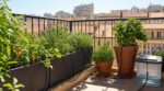 Balcon sans robinet : ce système arrose vos plantes tout seul, à condition d’éviter cette grosse erreur