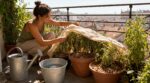Canicule : ces 5 gestes simples à faire dès maintenant pour sauver vos plantes sans gaspiller d&rsquo;eau